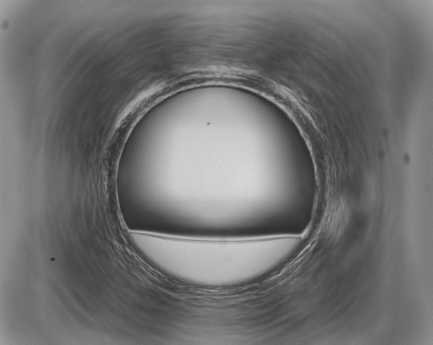 X0000087411307200704201010