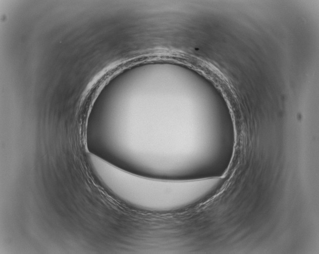 X0000087411310200704201010