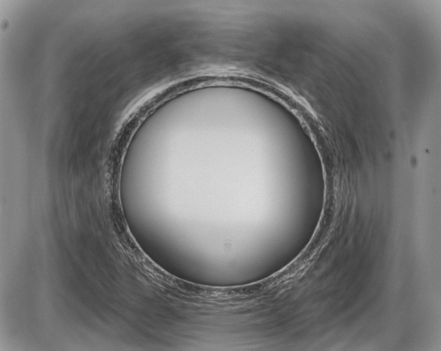 X0000087411311200704201010