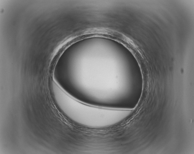 X0000087411312200704201010