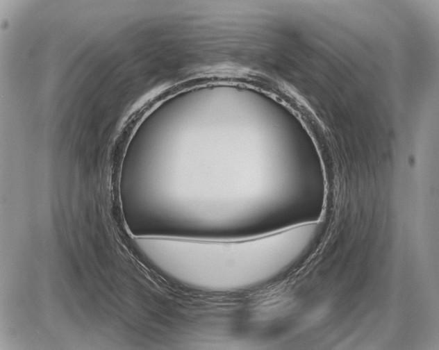 X0000087411315200704201010