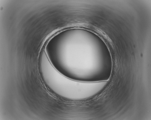 X0000087411316200704201010
