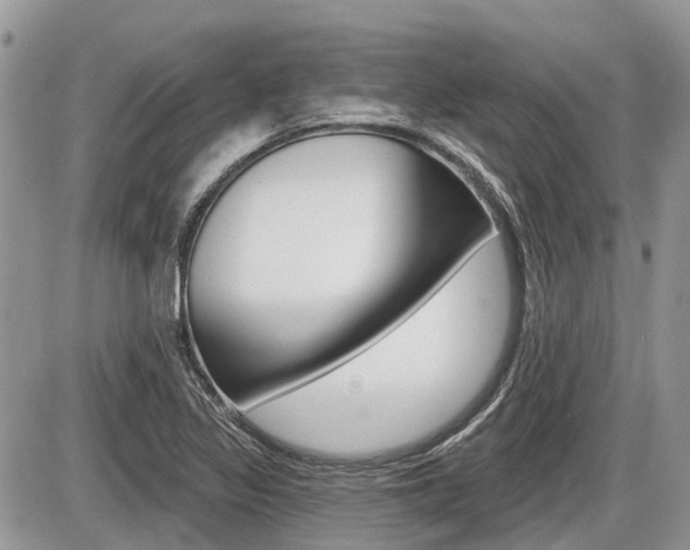 X0000087411317200704201010
