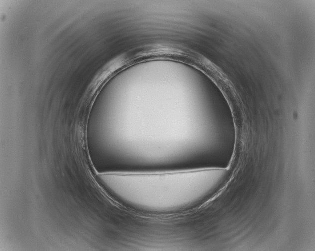 X0000087411321200704201010