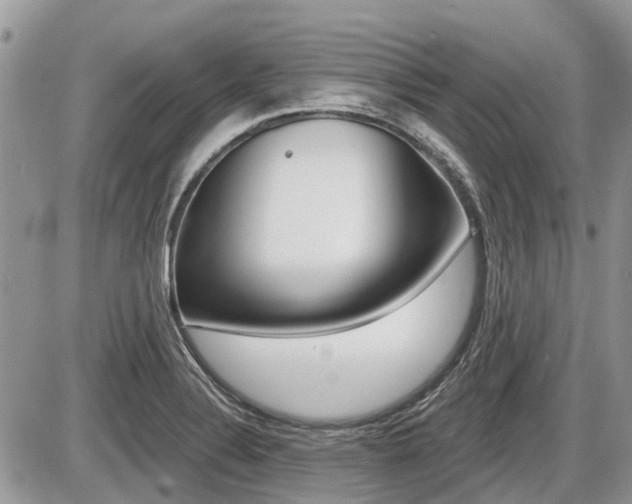 X0000087411324200704201011