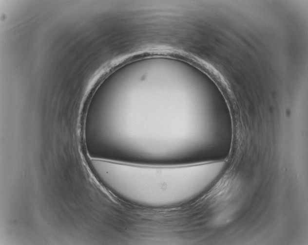 X0000087411327200704201011
