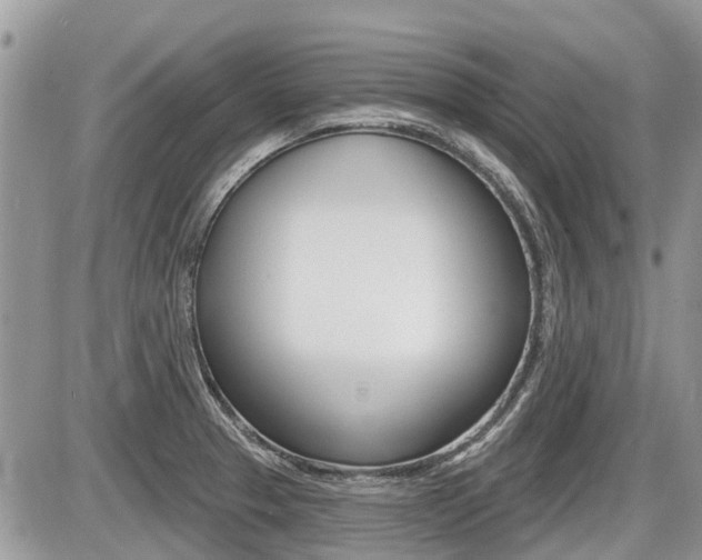 X0000087411329200704201011