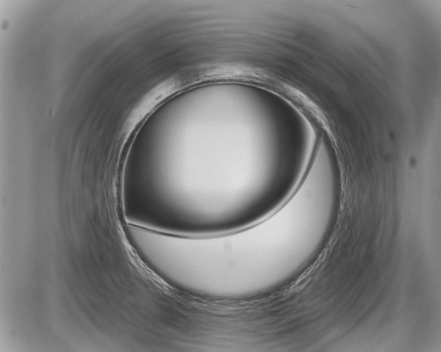 X0000087411330200704201011