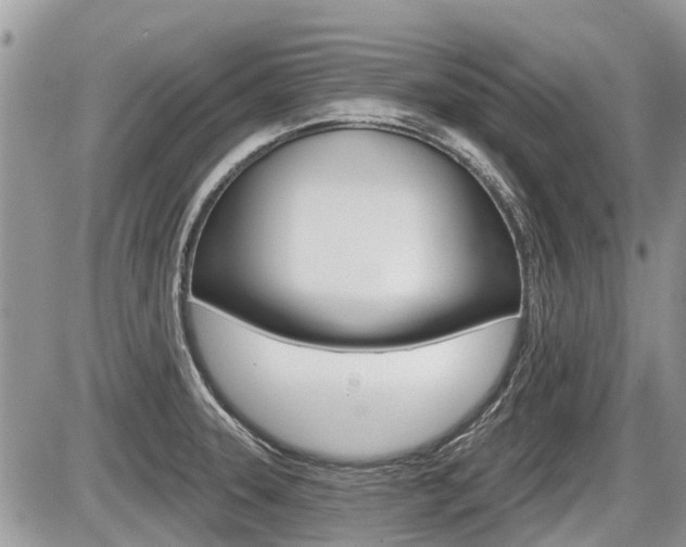 X0000087411331200704201011