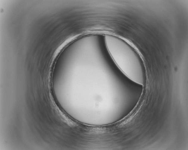 X0000087411333200704201011