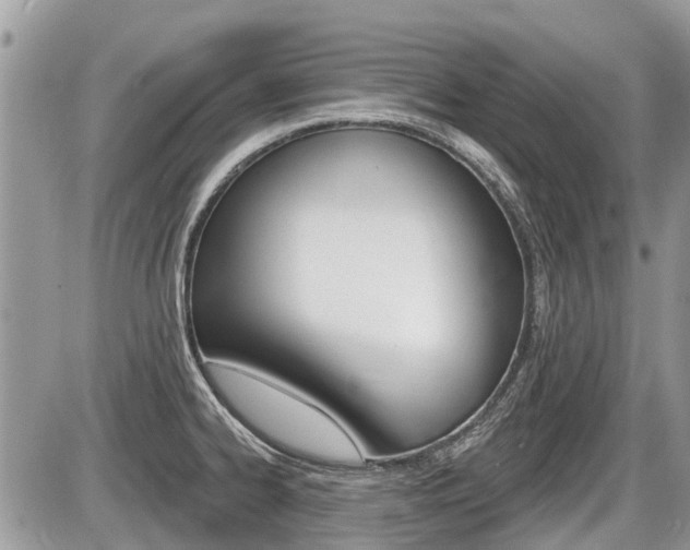 X0000087411334200704201011