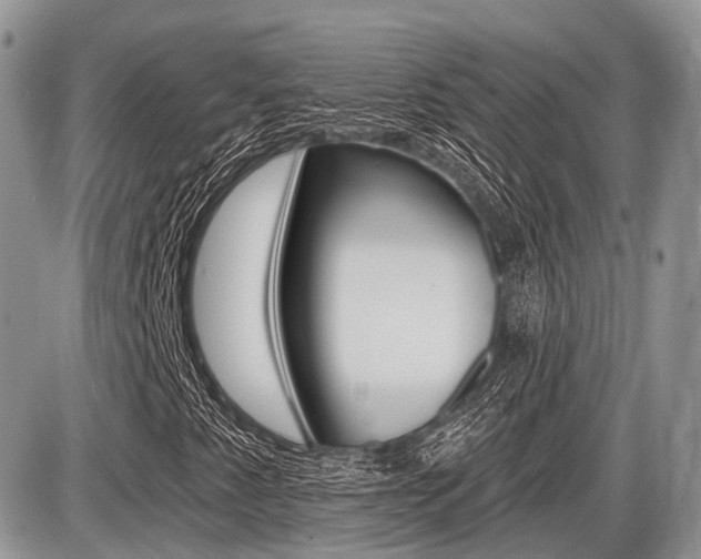 X0000087411345200704201010