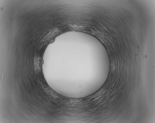 X0000087411346200704201010