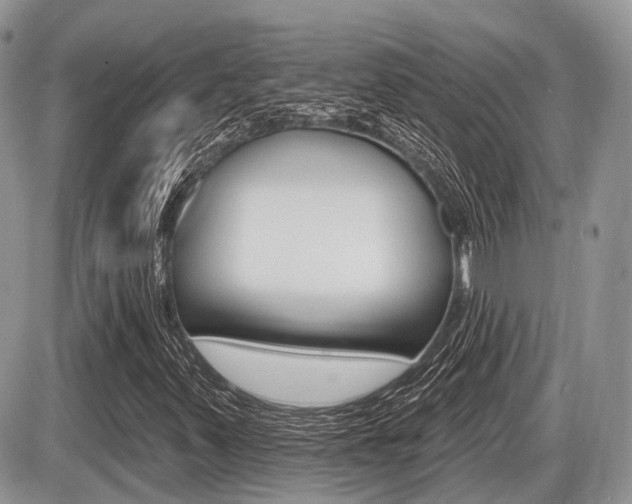 X0000087411347200704201010