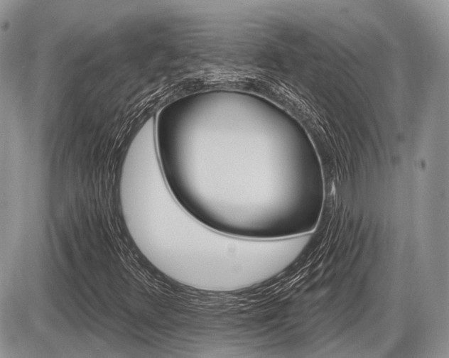 X0000087411348200704201010