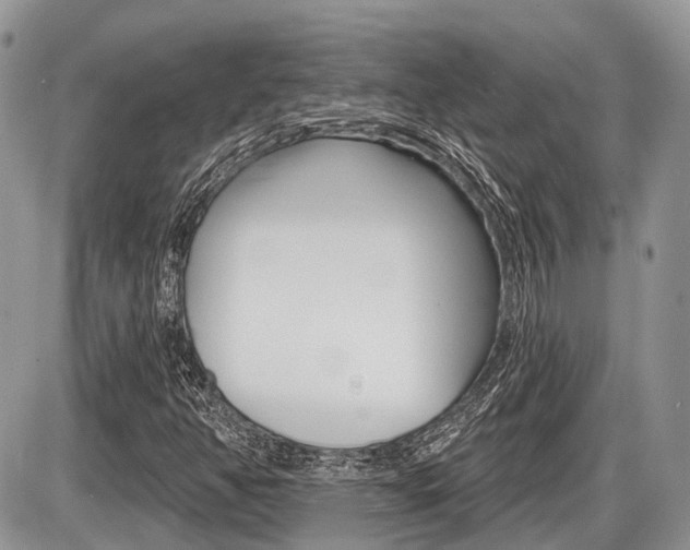 X0000087411350200704201010