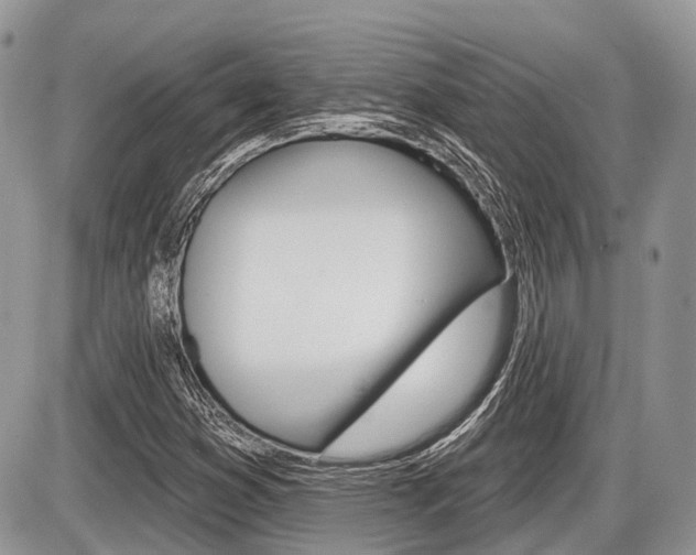 X0000087411353200704201010