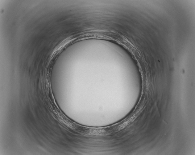 X0000087411354200704201010