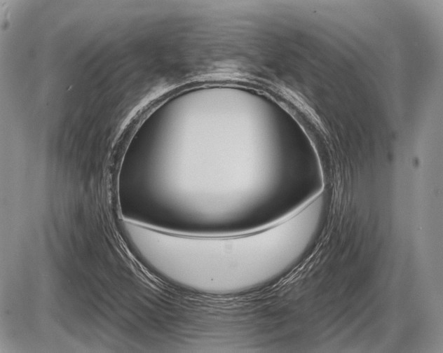 X0000087411356200704201010