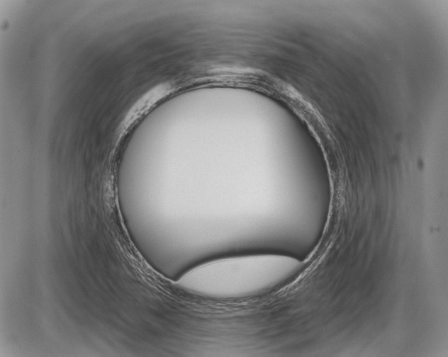 X0000087411362200704201010