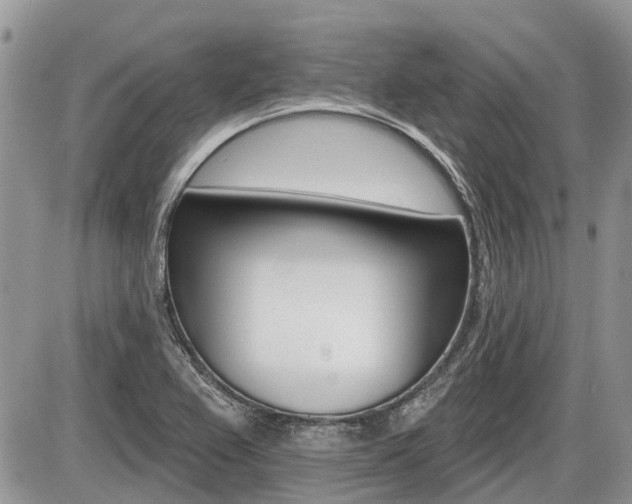 X0000087411367200704201010