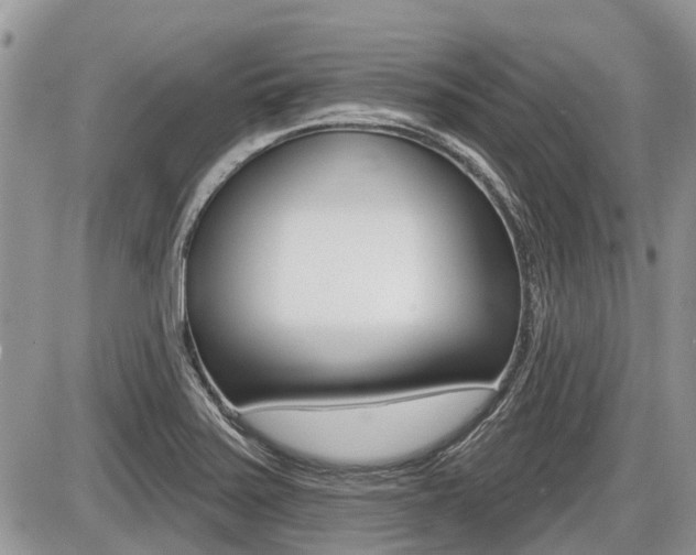 X0000087411371200704201010