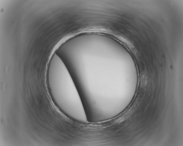 X0000087411374200704201010