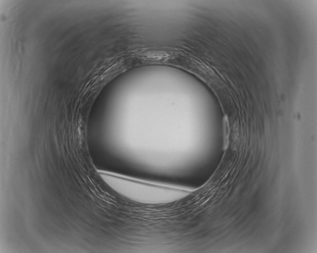 X0000087411394200704201009