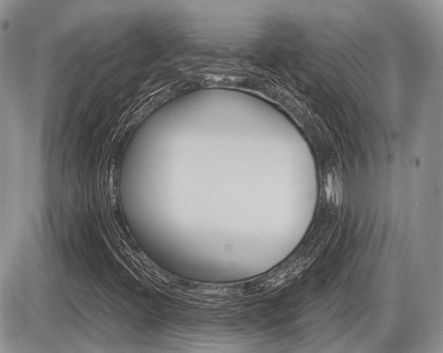 X0000087411396200704201009