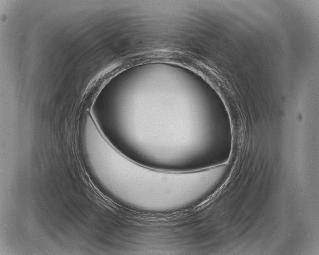 X0000087411402200704201009
