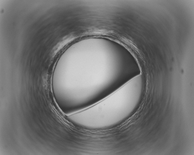X0000087411404200704201009