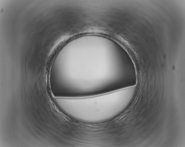 X0000087411408200704201009