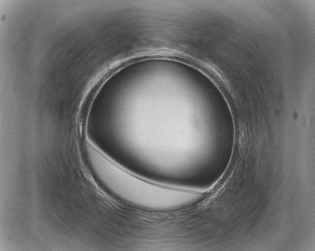 X0000087411414200704201009