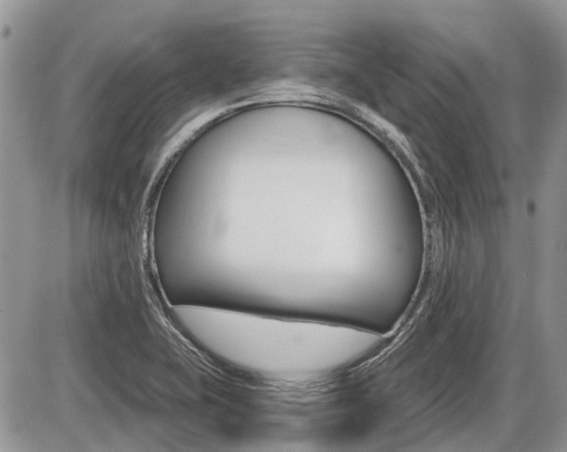 X0000087411415200704201009