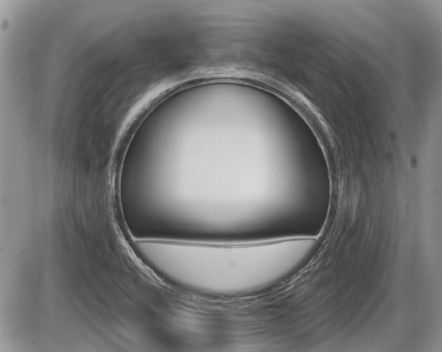 X0000087411416200704201009