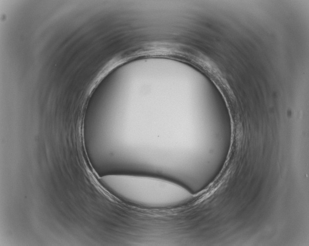 X0000087411417200704201009