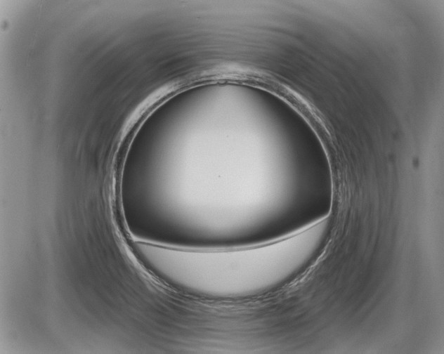 X0000087411418200704201009