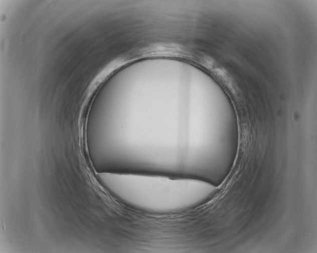 X0000087411419200704201009