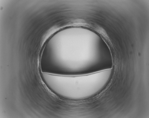 X0000087411420200704201009