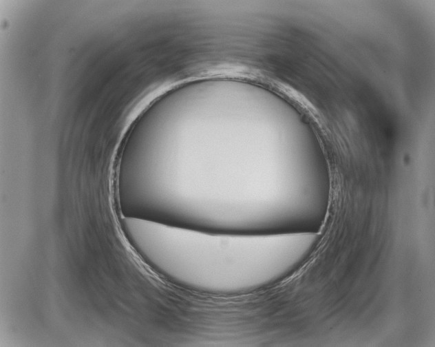 X0000087411423200704201009