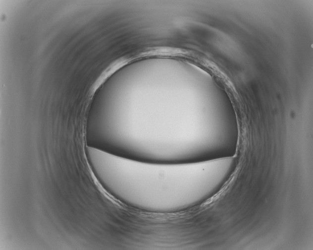 X0000087411425200704201009