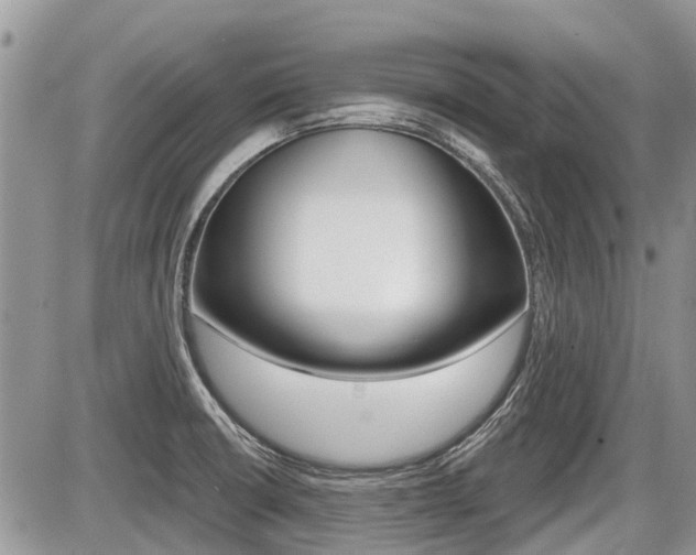 X0000087411426200704201009