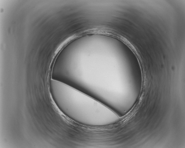 X0000087411434200704201009