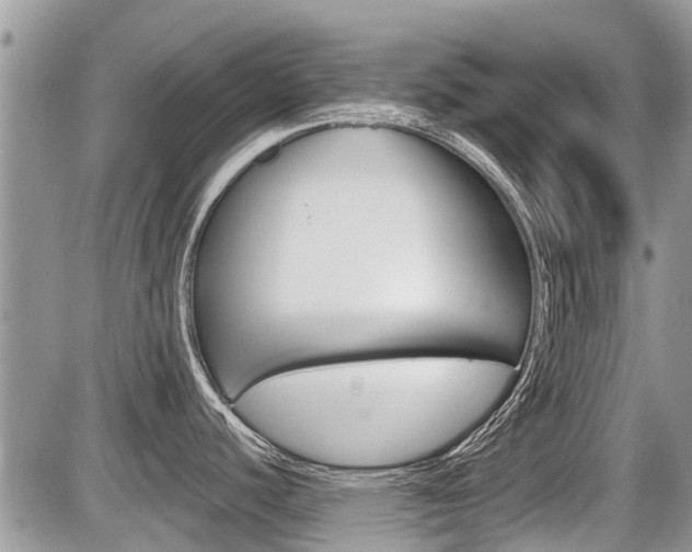 X0000087411440200704201009