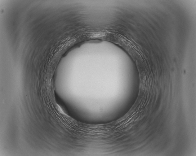 X0000087411441200704201008