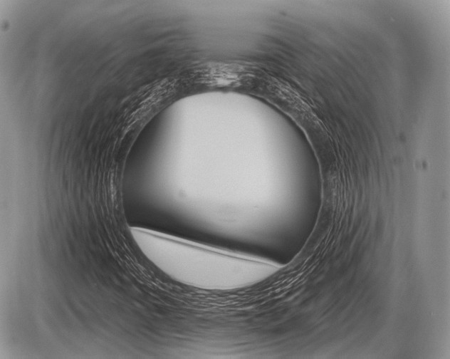 X0000087411442200704201008