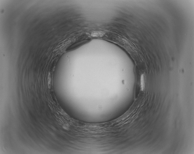X0000087411443200704201008