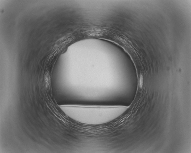 X0000087411444200704201008