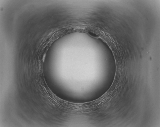 X0000087411445200704201008
