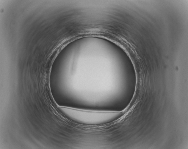 X0000087411449200704201008